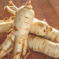 Ginseng, an ingredient in Sugar Defender