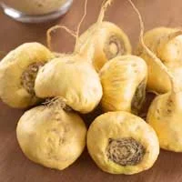 Maca Root, an ingredient in Sugar Defender